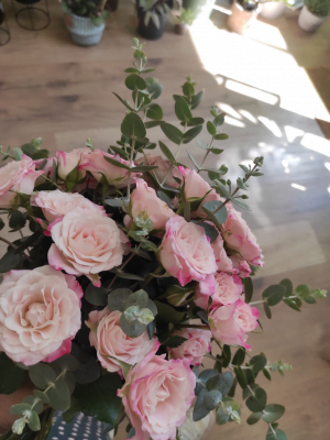 Flores - Mensual
