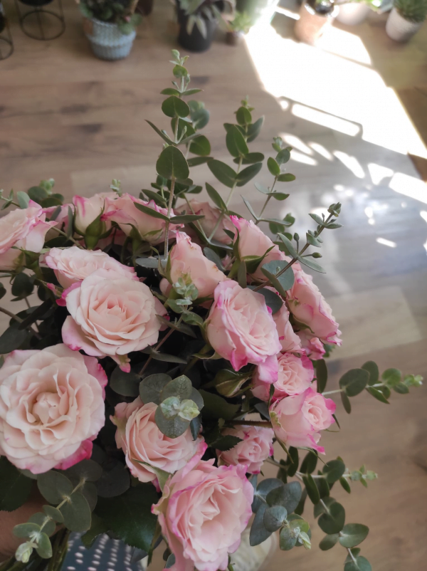 Flores - Mensual
