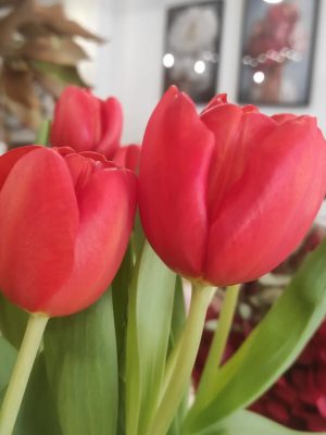 Ramo de tulipanes - Imagen 4